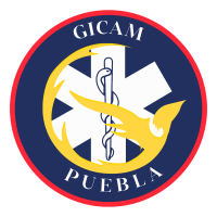 Campus Virtual GICAM
