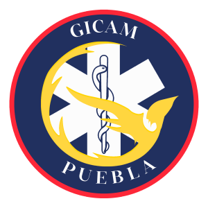 GICAM
